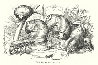  tekijältä Alfred Walter (after) Bayes