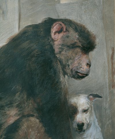 Apina ja koira tekijältä Alfred Wesemann