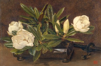 Magnolias, 1867-1920 tekijältä Alfred William Parsons