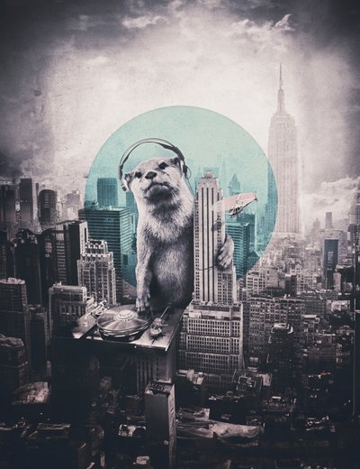Urban Otter DJ tekijältä Ali Gulec