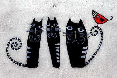 3 kissaa Krakovasta, 2019 (valokuva) tekijältä Alice Gur-Arie