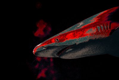 Köder von Alice Gur-Arie