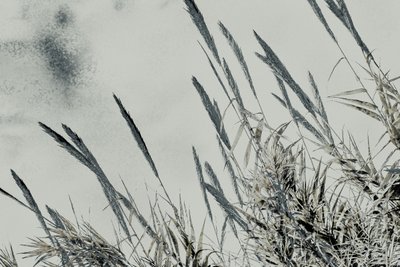 Sadonkorjuu, 2017 (käsin maalattu valokuva) tekijältä Alice Gur-Arie