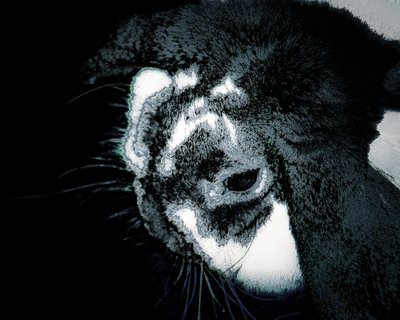 Jessican ystävä, 2022 tekijältä Alice Gur-Arie