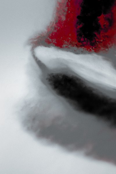 Mission, sarjasta Missionary, 2019 (valokuva) tekijältä Alice Gur-Arie