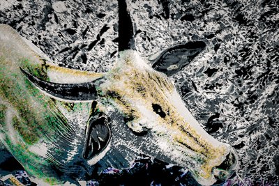 Ennen kilpailua, 2020 (maalattu valokuva) tekijältä Alice Gur-Arie