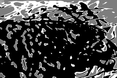 Merlin in Profile, 2019 (valokuva) tekijältä Alice Gur-Arie