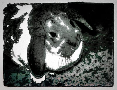 Rabbit Habbits, 2022 (uudelleenmaalattu valokuva) tekijältä Alice Gur-Arie