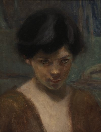 Tutkimus Pojan pää tekijältä Alice Pike Barney
