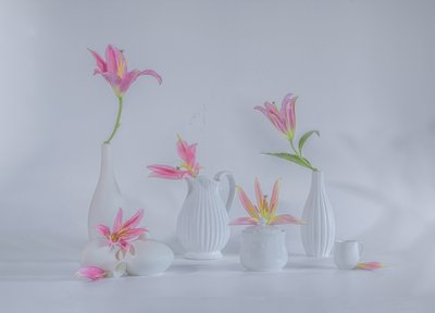  tekijältä Alice Sheng