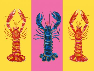 Lobster Langoustines Pop Art 2 tekijältä Alice Straker