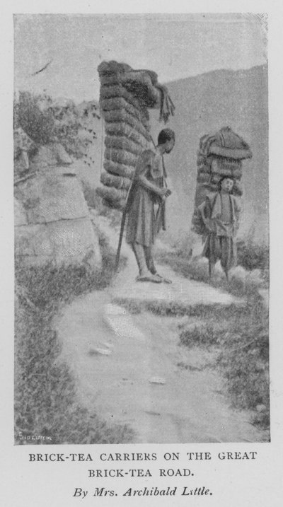 Brick-Tea Carriers on Great Brick-Tea Road (m/w kuva) tekijältä Alicia Little