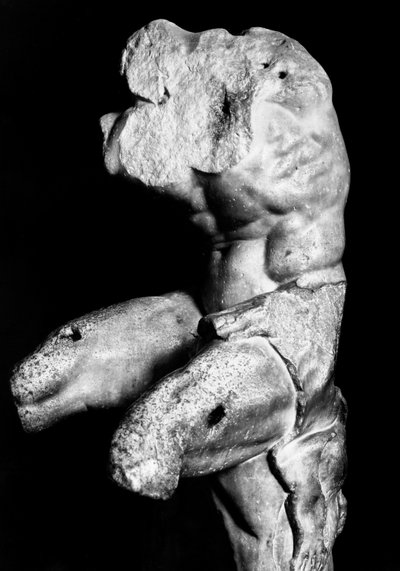 Belvedere Torso, kirjoittanut Apollonios of Nestor, n. 1890 (b/w kuva) tekijältä Fratelli Alinari