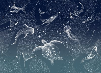 Taivaallinen merielämä tekijältä Alirıza ÇAKIR