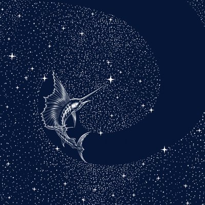 Taivaallinen purjekala tekijältä Alirıza ÇAKIR