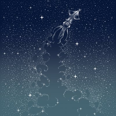 Taivaallinen kalmarin lento tekijältä Alirıza ÇAKIR