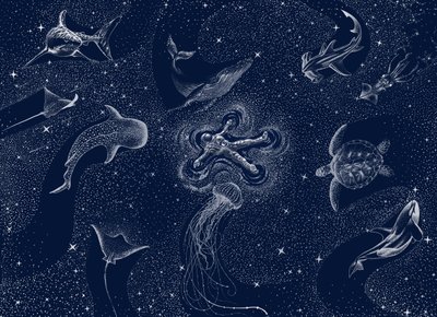 Kosminen meren unelma tekijältä Alirıza ÇAKIR