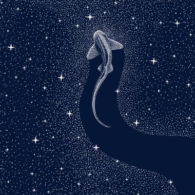 Kosminen hai tekijältä Alirıza ÇAKIR