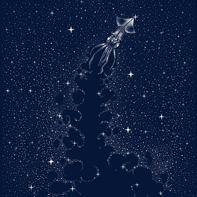 Kosmisen kalmarin nousu tekijältä Alirıza ÇAKIR