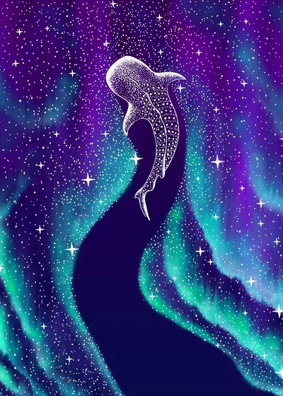 Revontulet ja valashai tekijältä Alirıza ÇAKIR