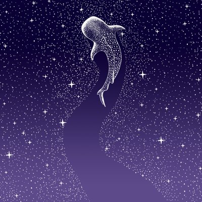 Star Eater: tummansininen–violetti väriliukuma tekijältä Alirıza ÇAKIR