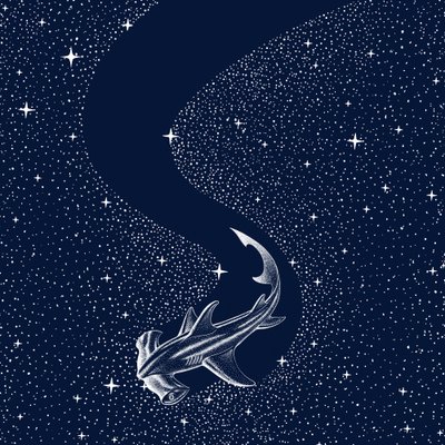 Tähtihammashaikala tekijältä Alirıza ÇAKIR