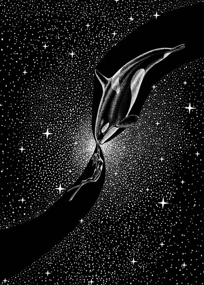 Tähtien valaisema valaiden syleily tekijältä Alirıza ÇAKIR