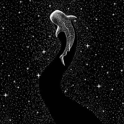 Tähtitaivaan alla: valashaiden matka tekijältä Alirıza ÇAKIR