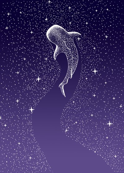 Uinti valashaiden keskellä tekijältä Alirıza ÇAKIR