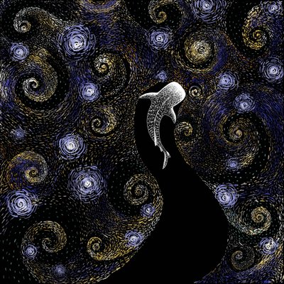 Valashai tähtitaivaan alla tekijältä Alirıza ÇAKIR