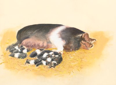 Satulaselkäinen emakko ja porsaat, 2019 (pastelli) tekijältä Alison Cooper