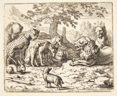 Lion