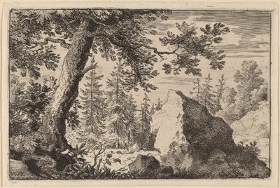 Boulder in the Woods tekijältä Allart van Everdingen