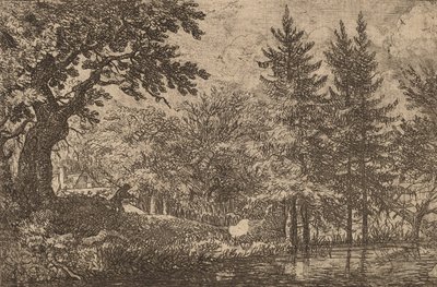 Fir Trees at the Water, luultavasti n. 16451656. tekijältä Allart van Everdingen