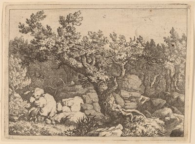 Urheilija lähellä suurta puuta, luultavasti n. 16451656. tekijältä Allart van Everdingen