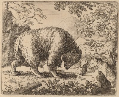 The Bear Distracted with Talk of Honey, luultavasti c. 16451656. tekijältä Allart van Everdingen