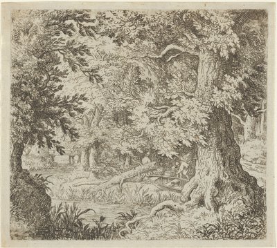 Puro metsässä, 1600-luku. tekijältä Allart van Everdingen