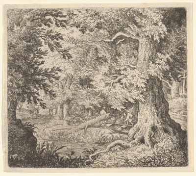 Puro metsässä, 1600-luku. tekijältä Allart van Everdingen