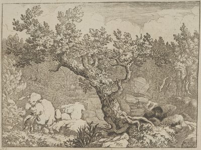 Urheilija lähellä suurta puuta, 1600-luku. tekijältä Allart van Everdingen