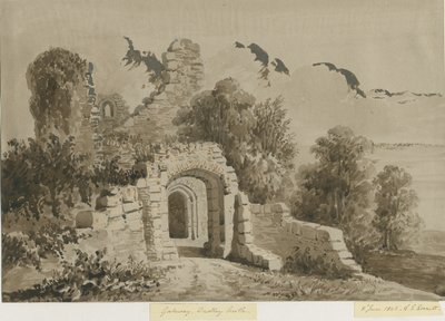 Dudleyn linna - The Gateway: punaseepia-pesupiirros, 8. kesäkuuta 1843 tekijältä Allen Edward Everitt