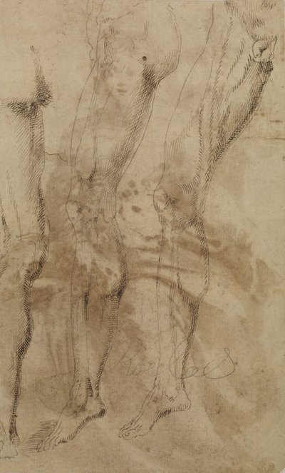 Kolme tutkimusta miehen jalasta, n. 1637 tekijältä Alonso Berruguete