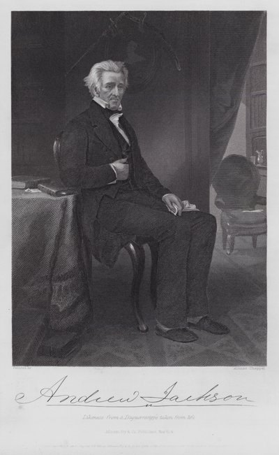 Andrew Jackson (kaiverrus) tekijältä Alonzo (after) Chappel