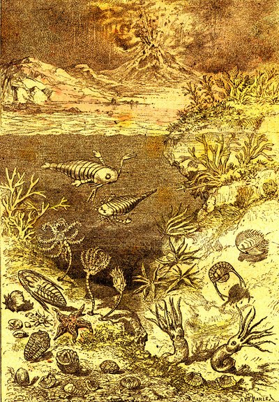 Esihistoria - Silurian ajan loppu: Luonnollinen luominen ja elävät olennot (J. Rengade) Piirustus A. Demarle. 1885 tekijältä Alphonse Demarle