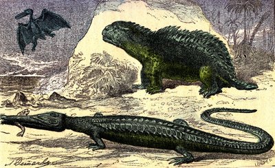 Esihistoria - Jurassic: Teleosaurus ja Hyleosaurus. Pterodactyl yläkerrassa. Luonnollinen luomus ja elävät olennot. Piirustus A. Demarle. 1885 tekijältä Alphonse Demarle