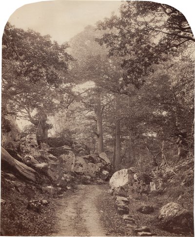 Fontainebleau tekijältä Alphonse Jeanrenaud