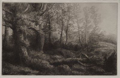 Metsämaatutkimus tekijältä Alphonse Legros