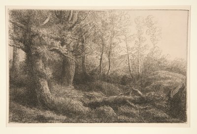 Metsämaatutkimus tekijältä Alphonse Legros
