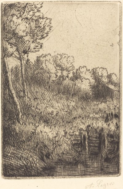 Marnen varrella Marnessa. tekijältä Alphonse Legros