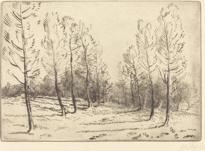 Poppelien katu tekijältä Alphonse Legros
