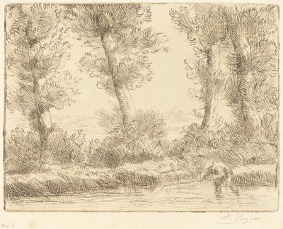 Lianen pankit Les bords de la Liane. tekijältä Alphonse Legros